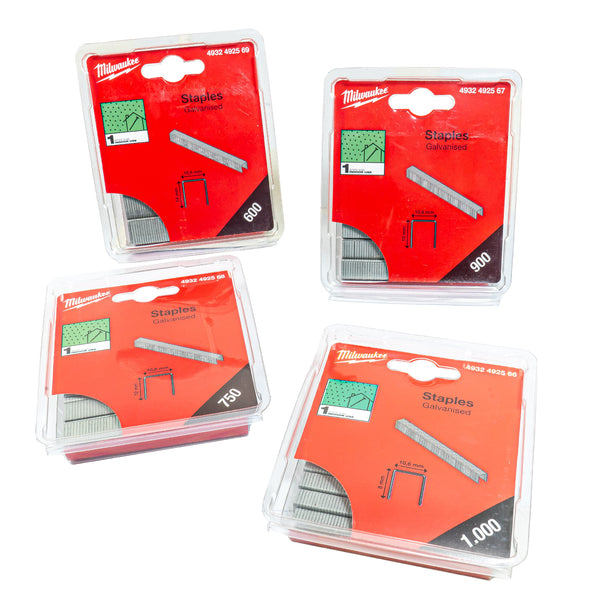 Tacker Klammern T50 (Wählbar: 6 mm / 8 mm / 10 mm / 12 mm / 14 mm)